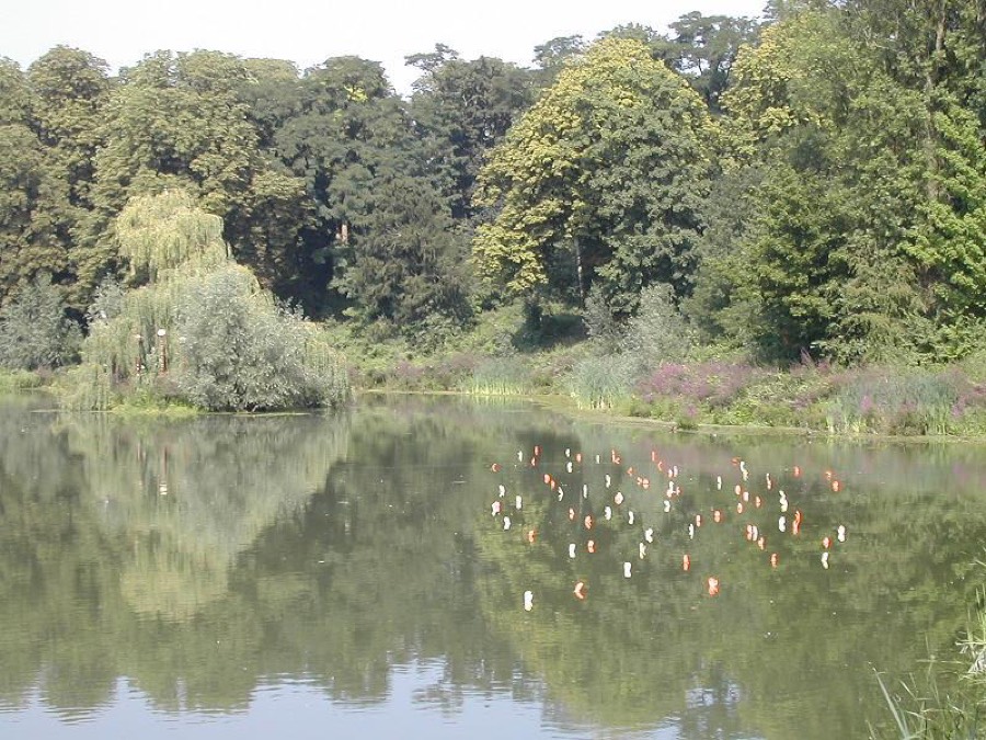 Foto uit de editie van 2005