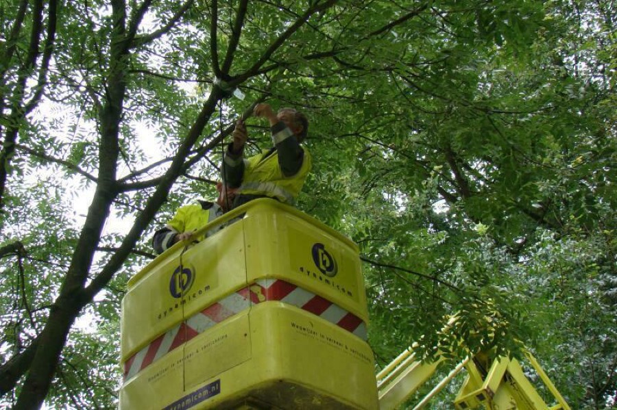 Foto van Pracht in de Gracht 2007