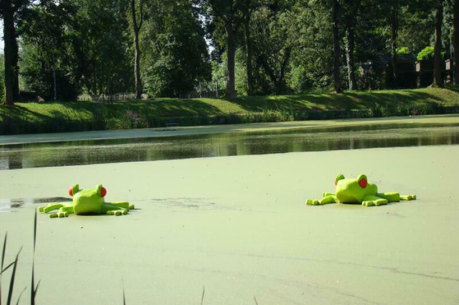 Foto van Pracht in de Gracht 2007