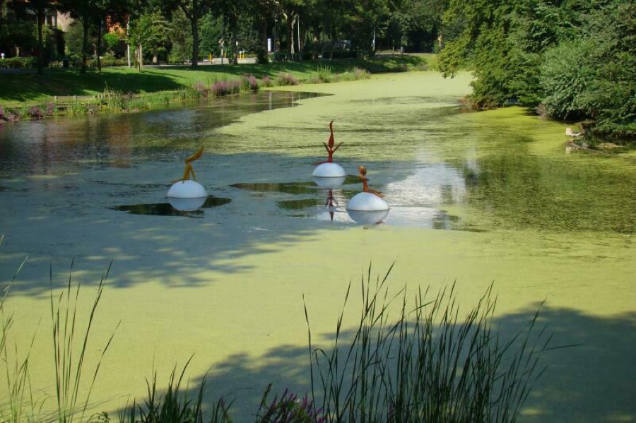 Foto van Pracht in de Gracht 2007