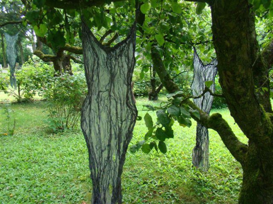 Foto van Pracht in de Gracht 2009