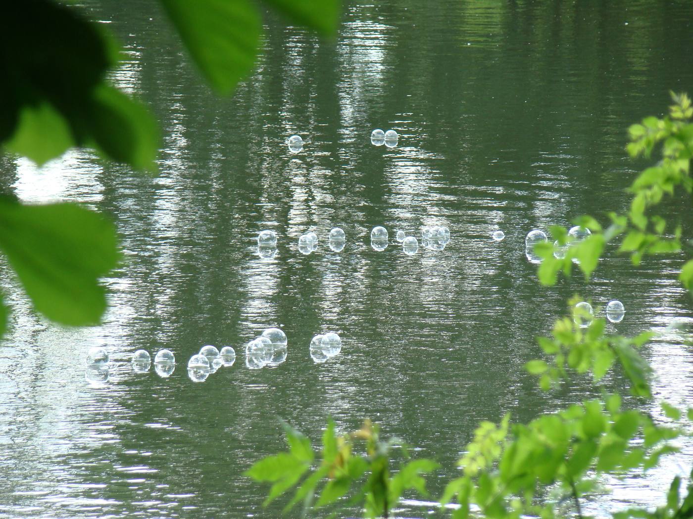 Foto van Pracht in de Gracht 2009