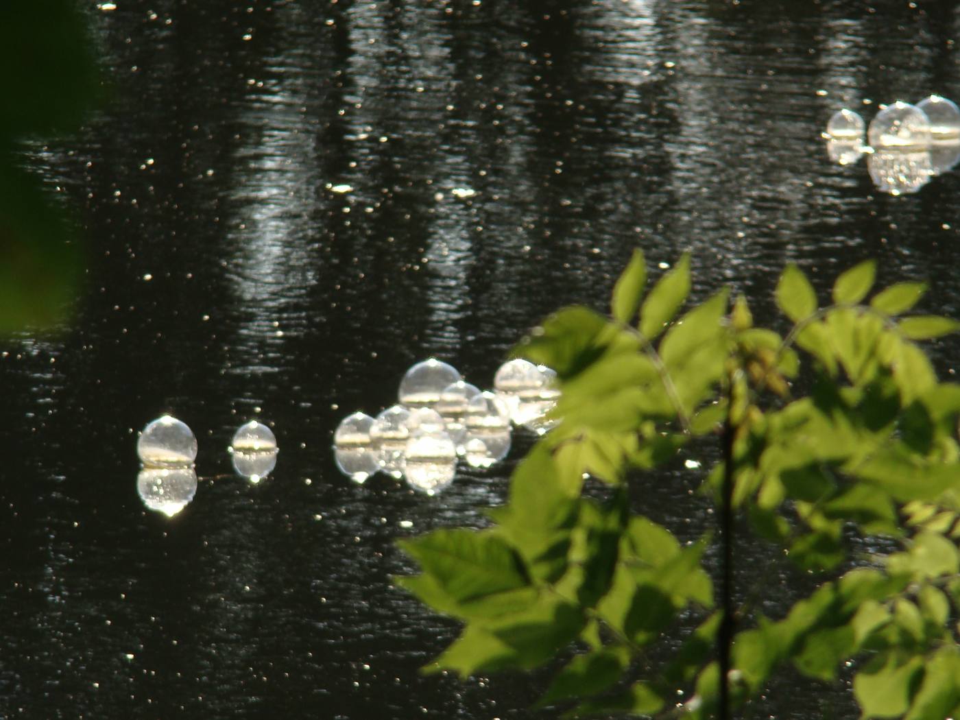 Foto van Pracht in de Gracht 2009