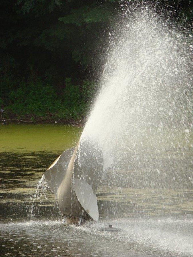 Foto van Pracht in de Gracht 2011