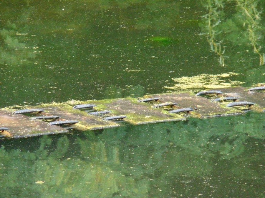 Foto van Pracht in de Gracht 2011