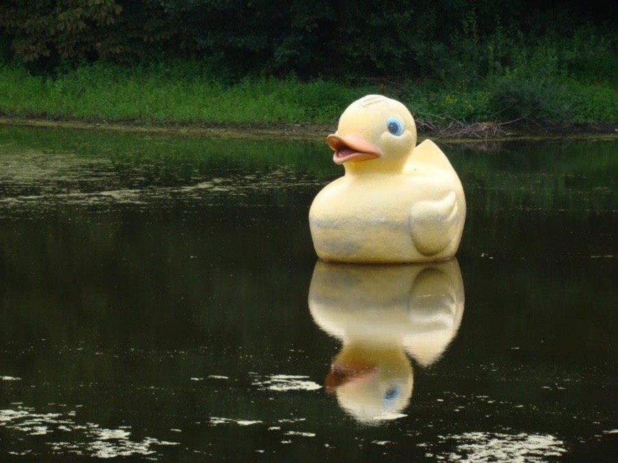 Foto van Pracht in de Gracht 2011