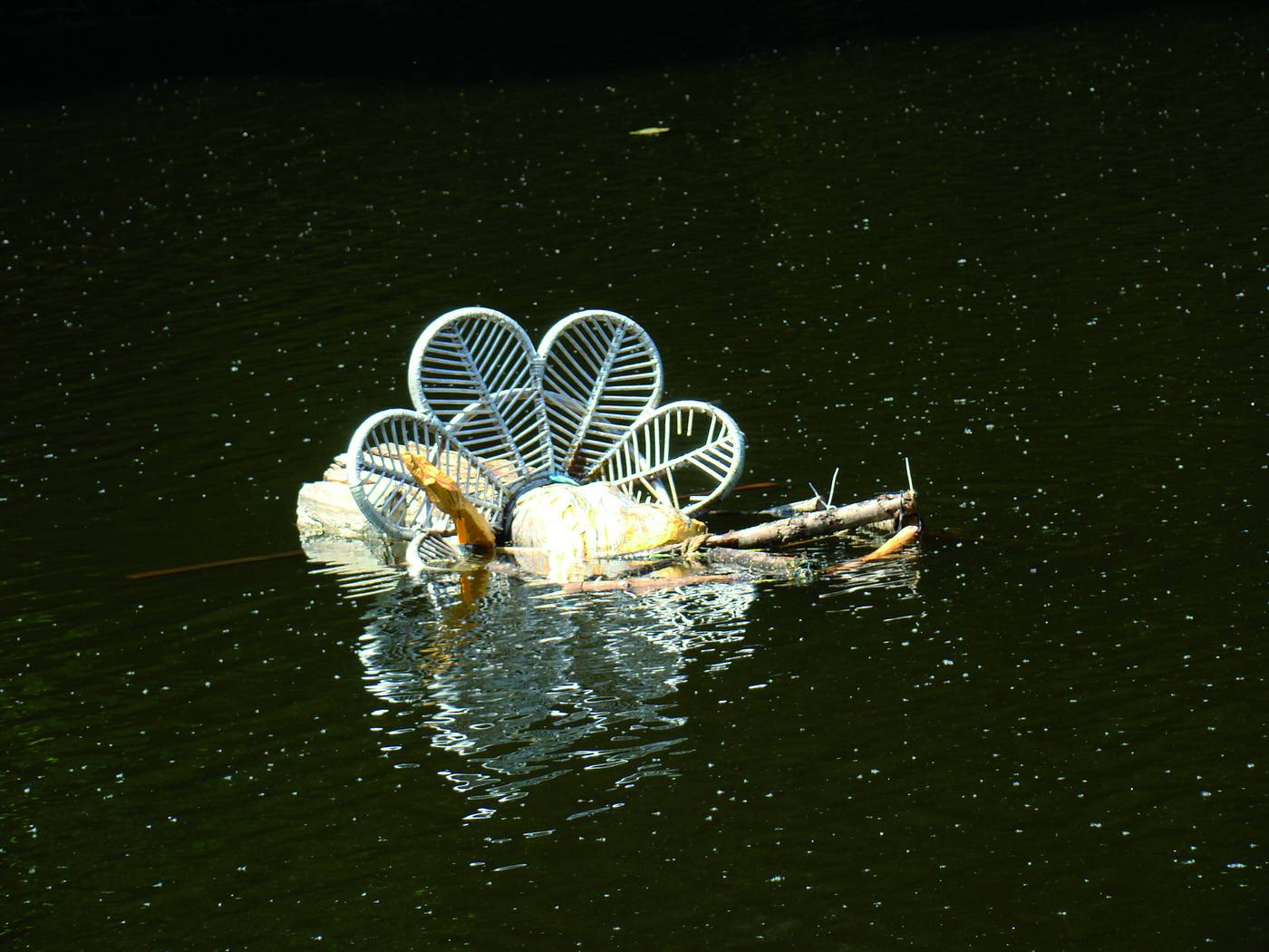 Foto van Pracht in de Gracht 2025