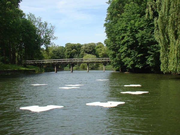 Beeld van Pracht in de Gracht op Instagram